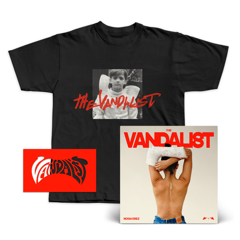 THE VANDALIST LP + STENCIL + SHIRT BUNDLE (PRE-ORDER!)