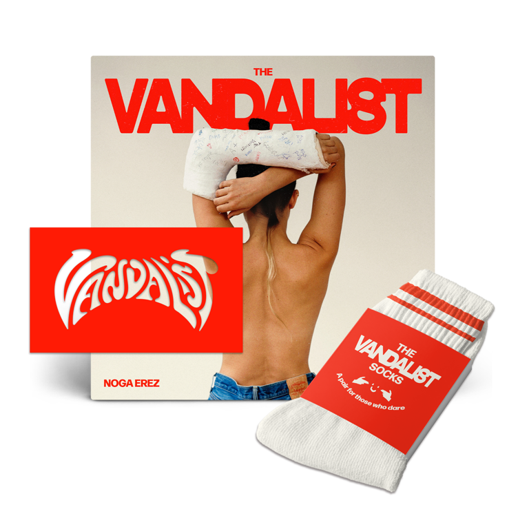 THE VANDALIST LP + STENCIL + SOCKS BUNDLE (PRE-ORDER!)