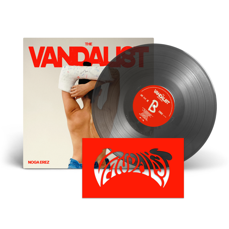 THE VANDALIST BLACK ICE VINYL (PRE-ORDER!)